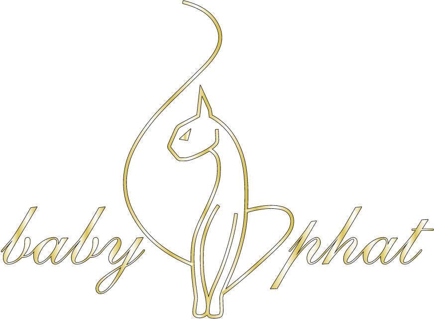 Baby Phat Kidz logo